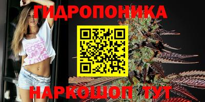 метадон Будённовск